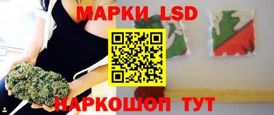 гашик Будённовск