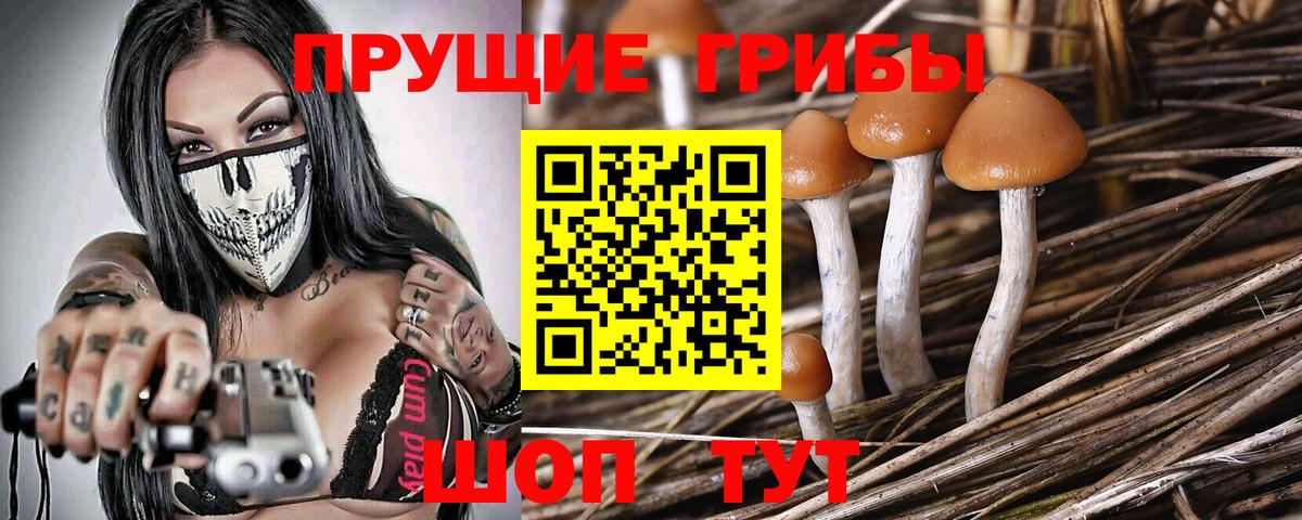 Павловский Посад  Псилоцибиновые грибы GOLDEN TEACHER  Вход с VPN 